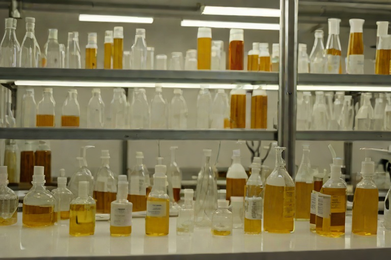Oxidative Peroxide Degradation: Measuring Shelf-Life Stability in Amber Glass in Clinical Antifungal Onychomycosis Solutions
